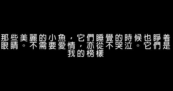 安妮寶貝經典語句 1