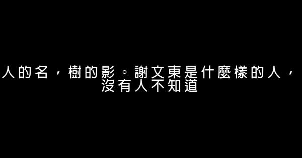 謝文東經典語句 1