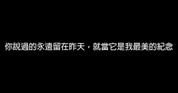 經典語錄：我不會依賴別人，因爲我受夠了失望 1