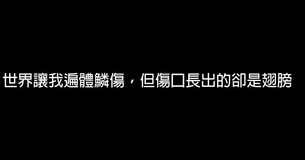 經典語錄：今天我愛你，比昨天多，但不如明天 1