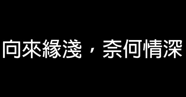 《何以笙簫默》經典語錄 1