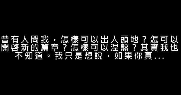 一直特立獨行的貓經典語錄 1