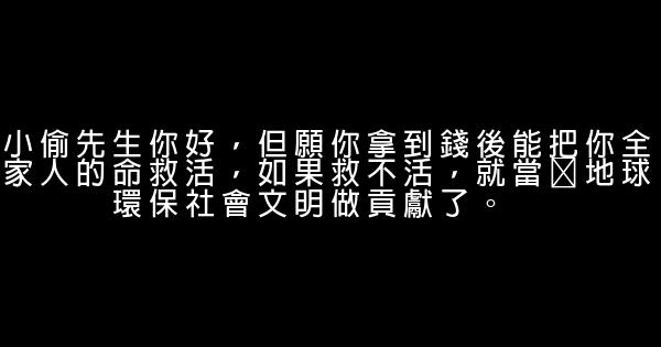 罵小偷的話 1