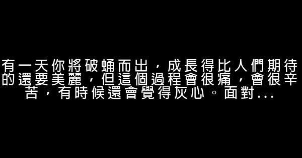 經典語錄：潑在你身上的冷水，你應該燒開了潑回去 0 (0)