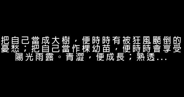 經典語錄：執着於理想，純粹於當下 1