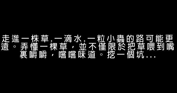 劉亮程經典語錄 0 (0)