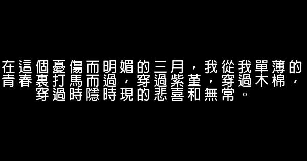 夢裏花落知多少經典語錄 0 (0)