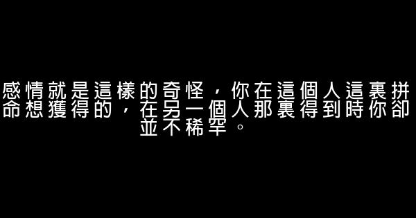 丁丁張經典語錄語句 1