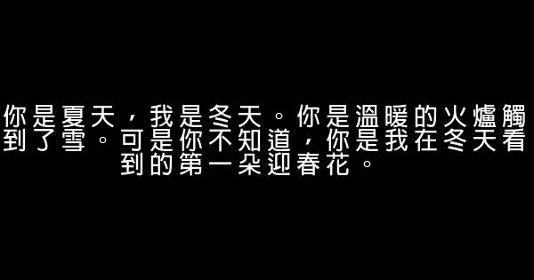 柳雲龍經典語錄語句 1