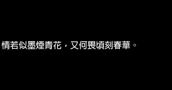 天籟紙鳶經典語錄語句 1