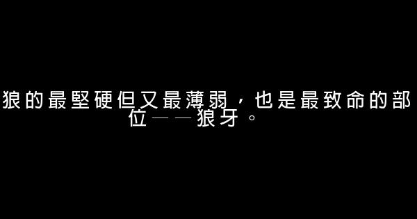 狼圖騰經典語錄 1