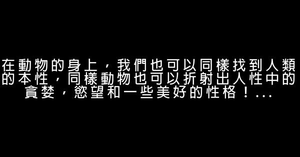 沈石溪經典語錄 1