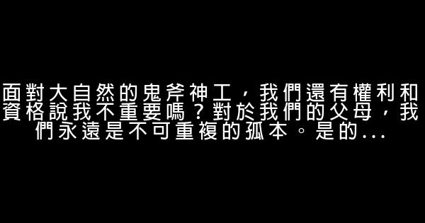 經典語錄：其實我一直關注你 1