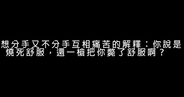 洪晃經典語錄 1