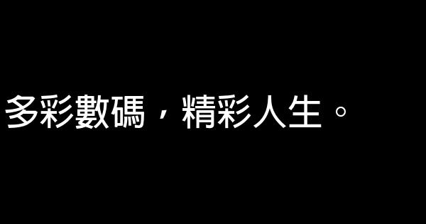 电脑包、数码包广告语 0 (0)