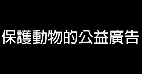 保护动物的公益广告 0 (0)