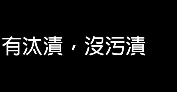 廠家直銷洗衣液廣告詞大全 1