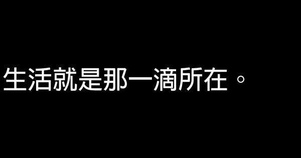 促銷洗衣液廣告語大全 1