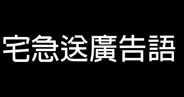 宅急送廣告語 1