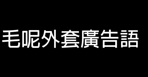 毛呢外套廣告語 1