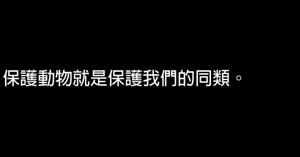 愛護動物的公益廣告詞 1