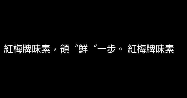 經典調味品廣告詞大全 1