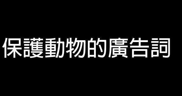 保護動物的廣告詞 1