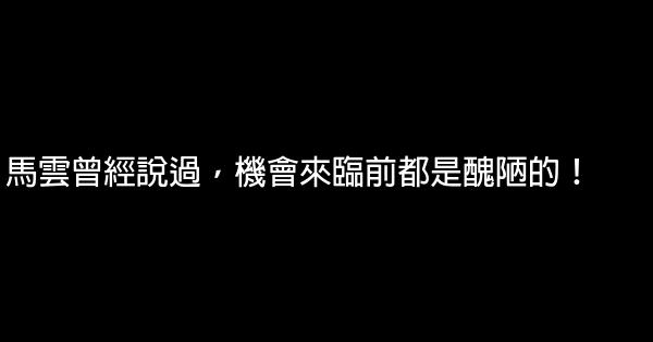 馬雲曾經說過，機會來臨前都是醜陋的！ 0 (0)