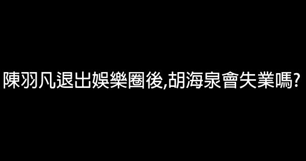 陳羽凡退出娛樂圈後,胡海泉會失業嗎? 1