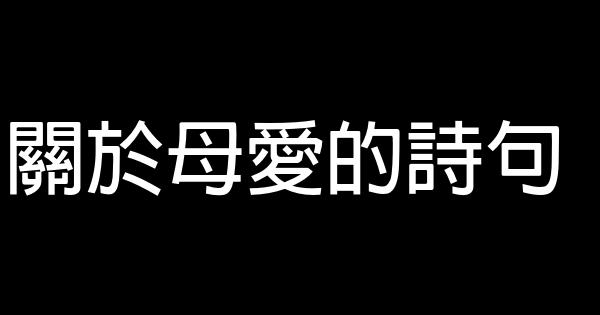 关于母爱的诗句 0 (0)