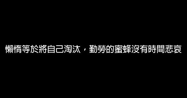 初三勵志名言佳句名句大全 1