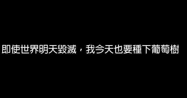 即使世界明天毀滅，我今天也要種下葡萄樹 0 (0)