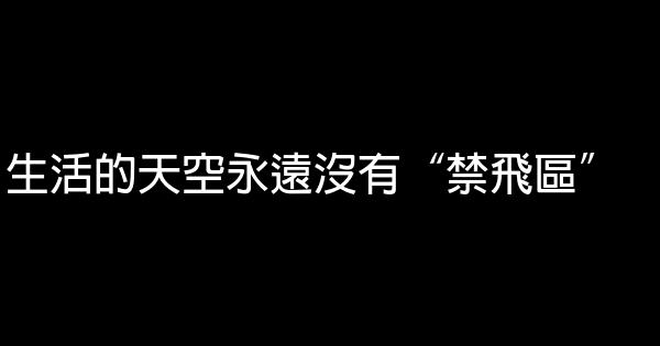 生活的天空永遠沒有“禁飛區” 1