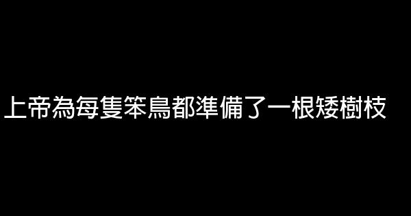 上帝為每隻笨鳥都準備了一根矮樹枝 1