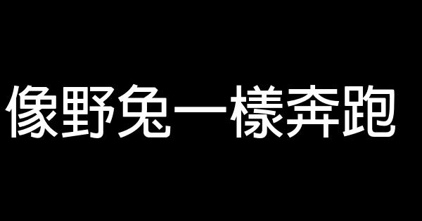 像野兔一樣奔跑 0 (0)