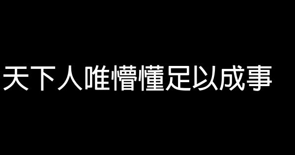 天下人唯懵懂足以成事 0 (0)