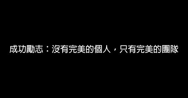 成功勵志：沒有完美的個人，只有完美的團隊 0 (0)