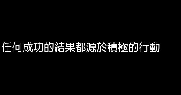 任何成功的結果都源於積極的行動 1