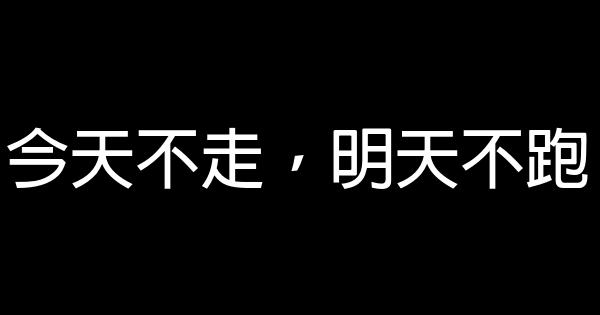 今天不走，明天不跑 0 (0)