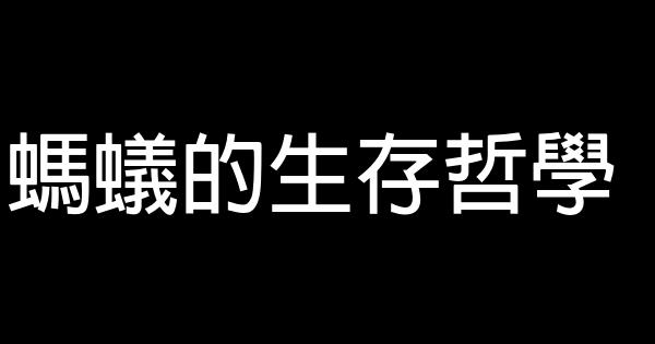 螞蟻的生存哲學 0 (0)