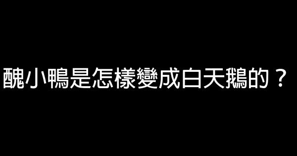 醜小鴨是怎樣變成白天鵝的？ 0 (0)