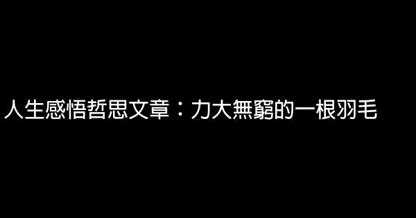 人生感悟哲思文章：力大無窮的一根羽毛 1