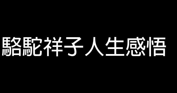 駱駝祥子人生感悟 1