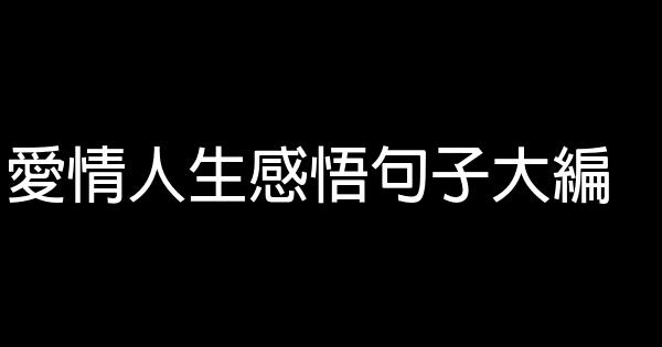 愛情人生感悟句子大編 1