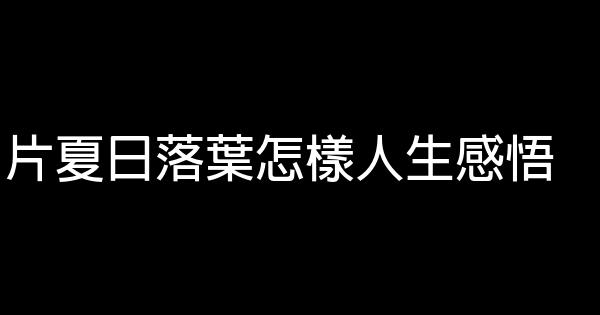 片夏日落葉怎樣人生感悟 1