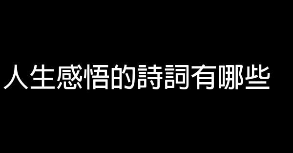 人生感悟的詩詞有哪些 1