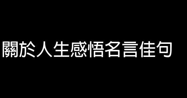 關於人生感悟名言佳句 1