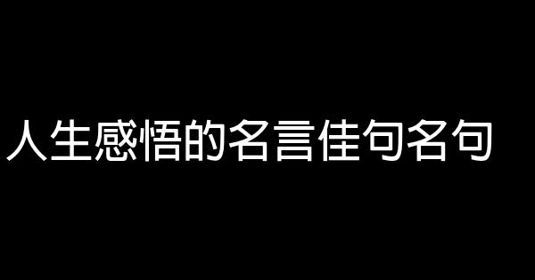 人生感悟的名言佳句名句 1