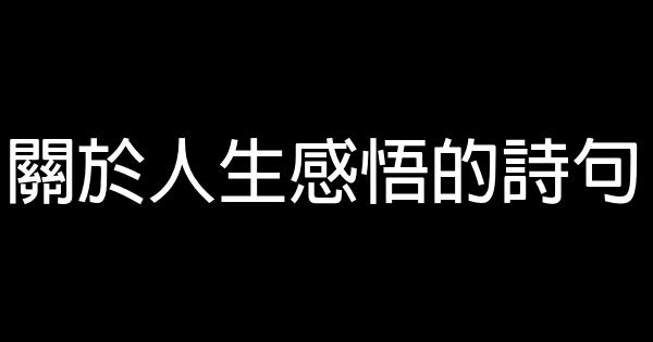 關於人生感悟的詩句 1