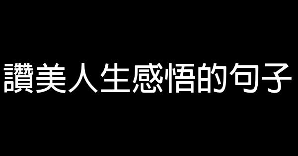 讚美人生感悟的句子 1